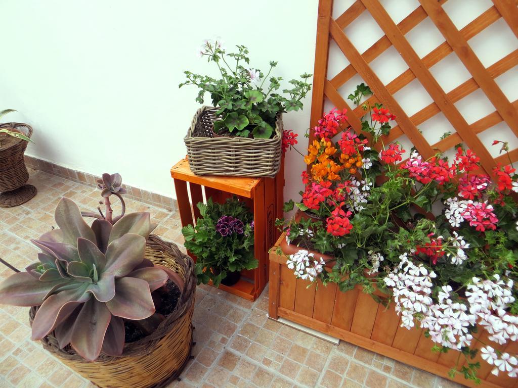 B&B Il Geranio Calimera  Esterno foto